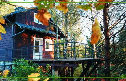 Domek Zielony Widok - noclegi Bieszczady - Foto 52