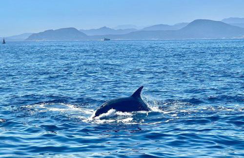 Casa Sardina - Foto 8