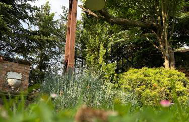 Pod Wierzbą Apartament na Kaszubach - Foto 21