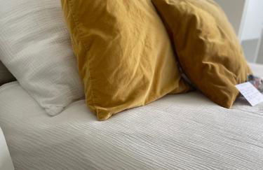 Studio-Champagne Lanson-Proche Hôpitaux-Universités-Parc Léo Lagrange - Foto 6