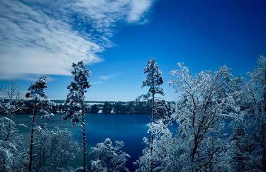 LakeView DomekNaKaszubach - Foto 7