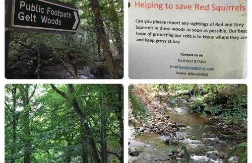 OLD CHAPEL Hayton Cumbria CA89HR - Foto 52