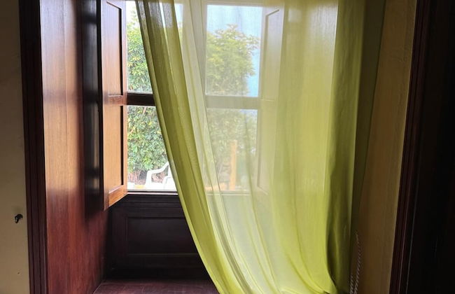 Oasis Hill Botanical Garden - Foto 30