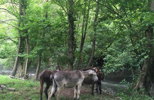 La Naranxa - Foto 14