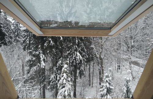 Apartamenty Krokiew - Foto 69