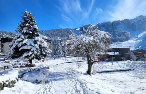 STUDIO plein sud "Les Arolles" Balcon de VILLARD DE LANS - Foto 25