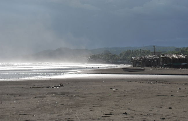 Tropical Escape @ Sunzal Surf City - Photo 34