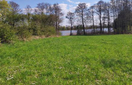 Domki Zaczarowana Łąka Borach Tucholskich - Foto 39