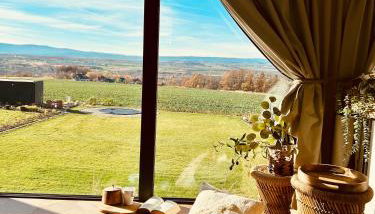 Hill41 kotlina kłodzka domki z sauną - Foto 4, Garden view