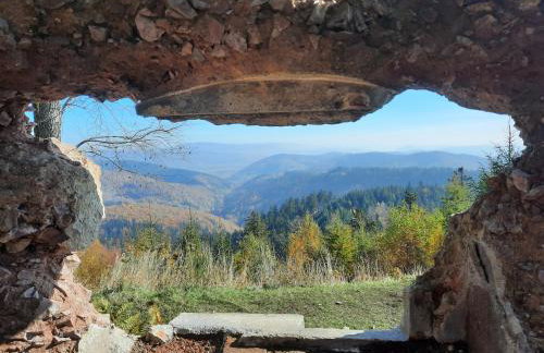 Domek Ostoja - Foto 50