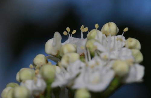 Alojamientos Rurales Cortijo Las Golondrinas - Foto 58