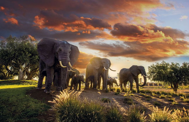 Le Vizir Center Parc & Resort - Foto 77