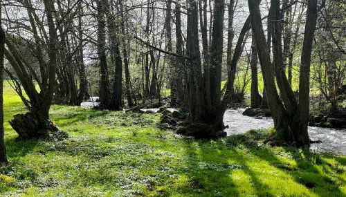 Wind in den Weiden, Übernachten am Bachlauf - Foto 3