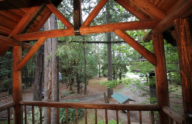 Out 'N' About Treehouse Treesort - Photo 50