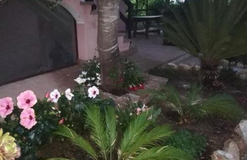 Domo Rosada - Foto 7