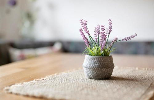 Guesthouse Niederschlag - Sauna & BBQ im Erzgebirge - Foto 27