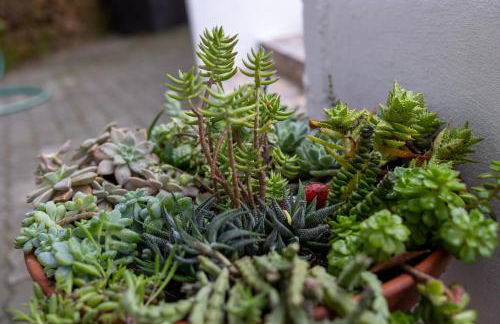 Quinta das Maçãs by SH - Foto 28