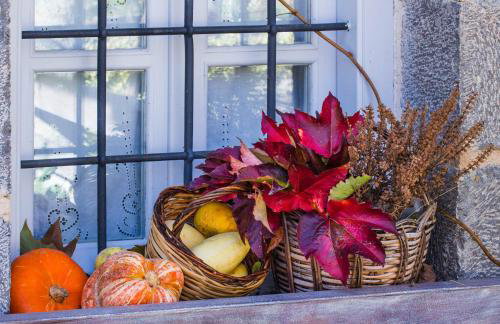 Astra Inn - Photo 33