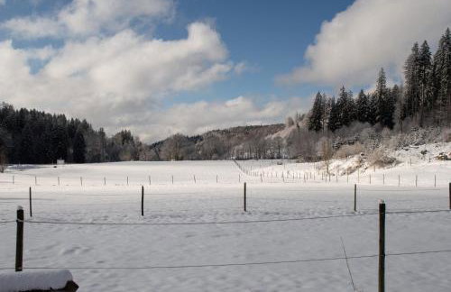 Allgäu Ferienwohnung Natur & Spa - Apartment 314 - Foto 29