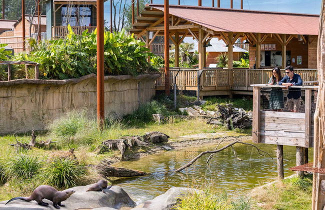 Biglietti per Parrot World - Foto 8