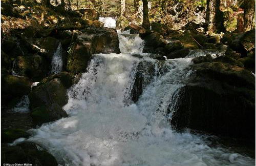 Haus am Waldrand - Foto 37