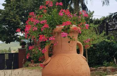 Villa Palma Karojba - Foto 95