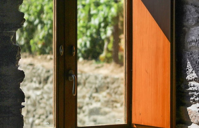 Sobreiros's Villa in Douro Valley - Foto 5