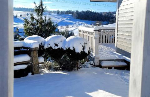 Tabaszówka - Foto 13