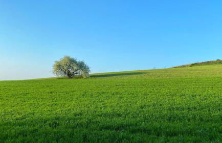 Agriturismo Albana - Foto 8