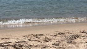 Villetta farfalle - Foto 2