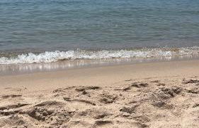 Villetta farfalle - Foto 2