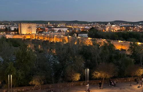 Apartamento junto a la mezquita y el Guadalquivir - Foto 19