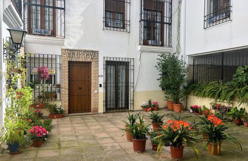 Aroma de azahar, en San Basilio - Photo 5