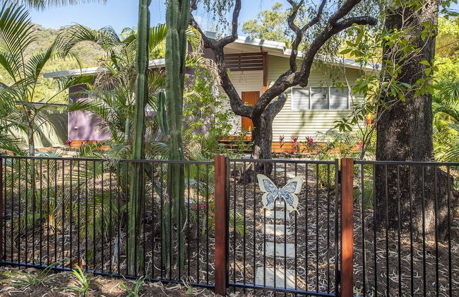 Papillon Bleu - Foto 23