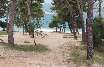 Little cherry - Photo 44