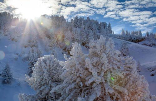 studio, 2 personnes, Les Balcons de Recoin - Foto 6