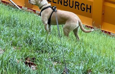 Ultra Contemporary Loft - Foto 27