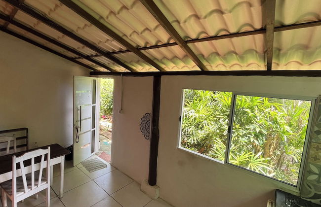 Casas Porto de Cima - Foto 16