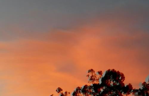 CAMPO DE SOBARBO - Guest House rural - Foto 74