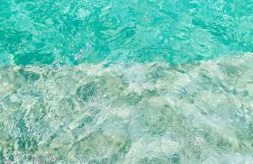 Los Limones - Foto 13