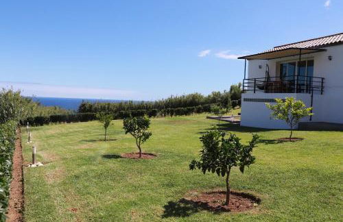 Casa do Galante - Photo 5