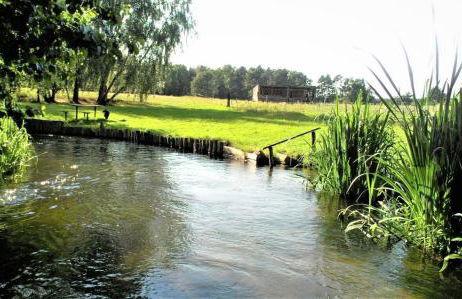Kleine Ferienwohnung in der Natur - Foto 19
