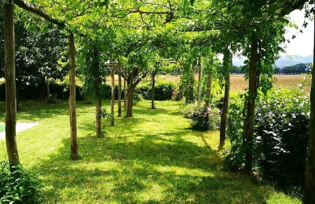 Agriturismo Pian del Tevere - Foto 41