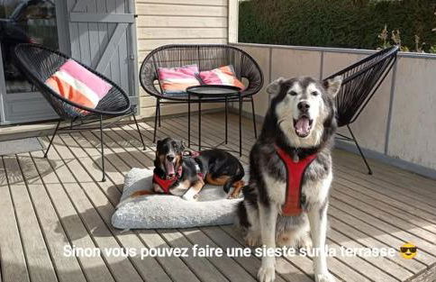 Maison au calme entre Caen et Cabourg - Foto 20