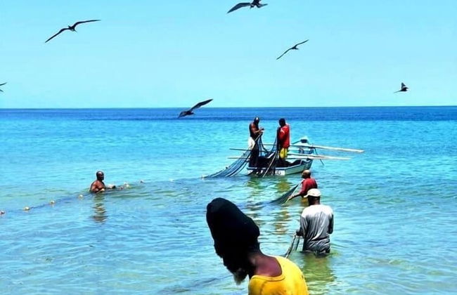 Castara Inn - Photo 50