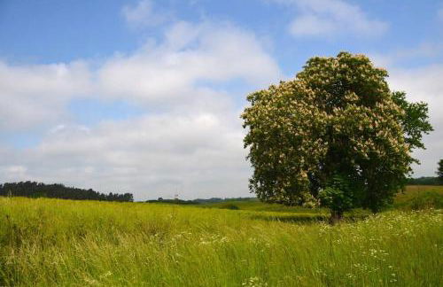 Ferienwohnung mit großem Garten und Blick zum See - Photo 31