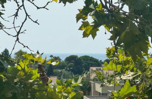 La Alboreda - Photo 34