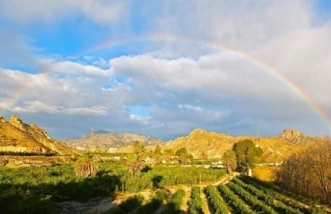 La Joya del Valle de Ricote - Photo 29