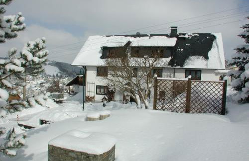 Ferienwohnungen Weißflog - Foto 36