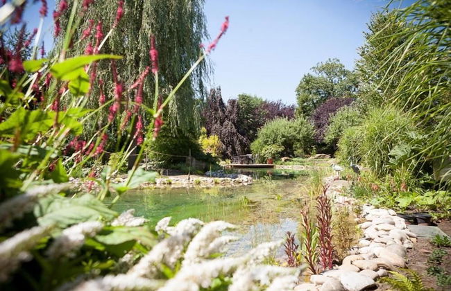 Exklusive Ferienzimmer Gut Heidefeld - Foto 24